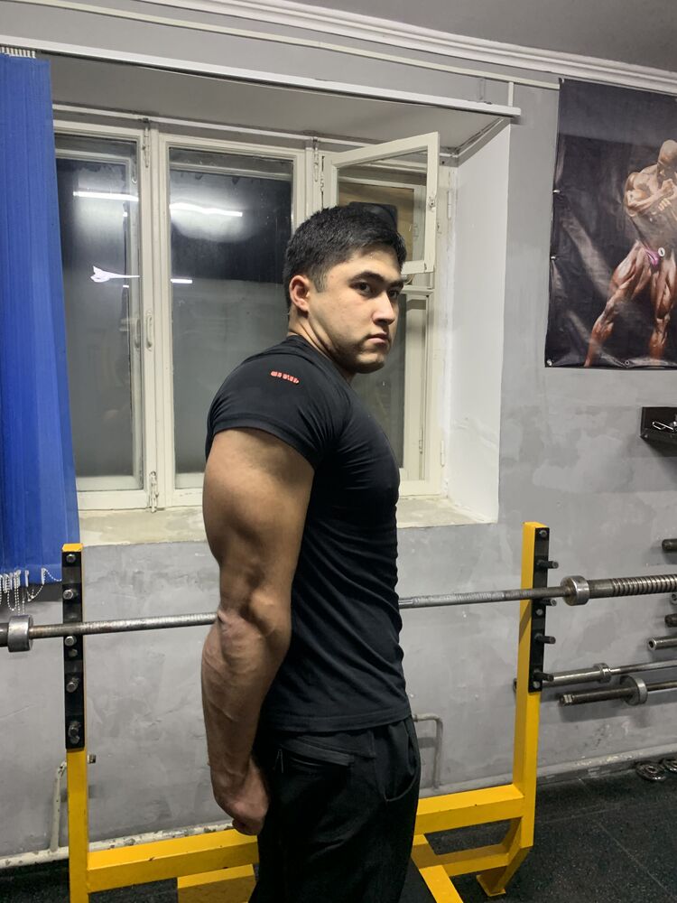 ���������� ������, ���� ����� Zidan, 24 ����, ������������ ��� ������, ����� � ���������, c�������� ���������, ���������