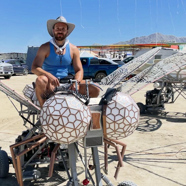 ���������� �����������, ���� ������� �������, 36 ���, ������������ ��� ������, ����� � ���������, c�������� ���������, ���������