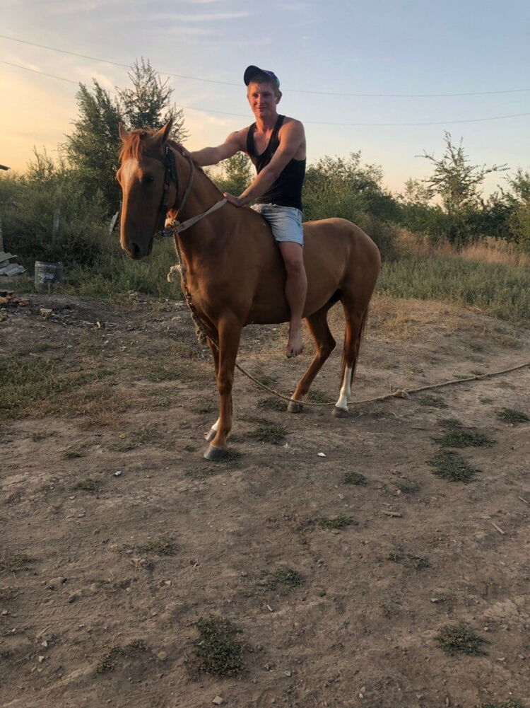 ���� 35970916 ������� ����, 27 ���, ���� ���������� � �������-��-����