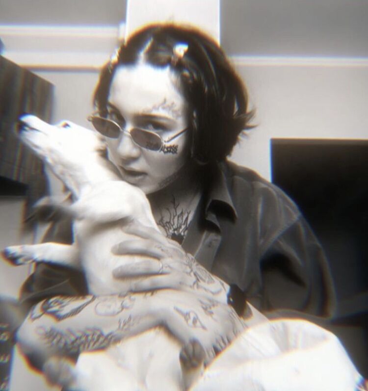 ���������� ������, ���� ������� ��������, 25 ���, ������������ ��� ���������