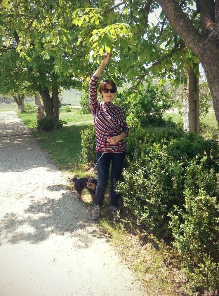 ���������� �����������, ���� ������� ������, 47 ���, ������������ ��� c�������� ���������, ���������