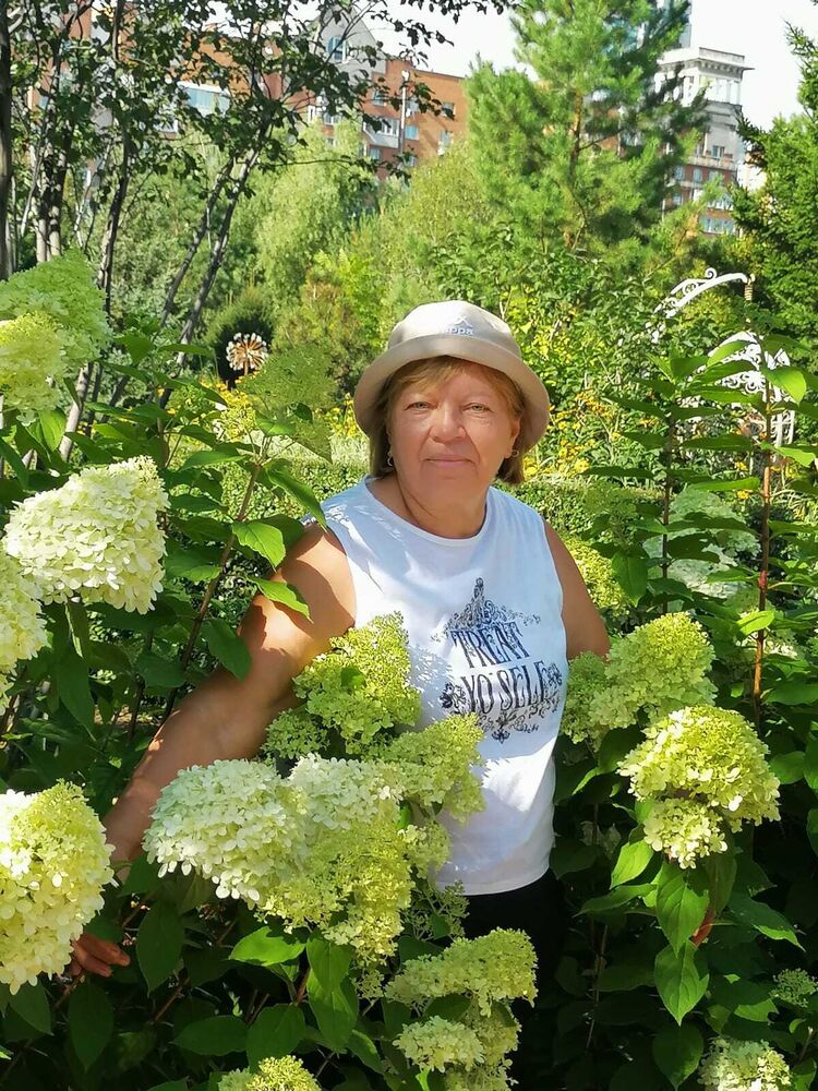 ���� 56016616 ������� �������, 68 ���, ���� ���������� � ��������