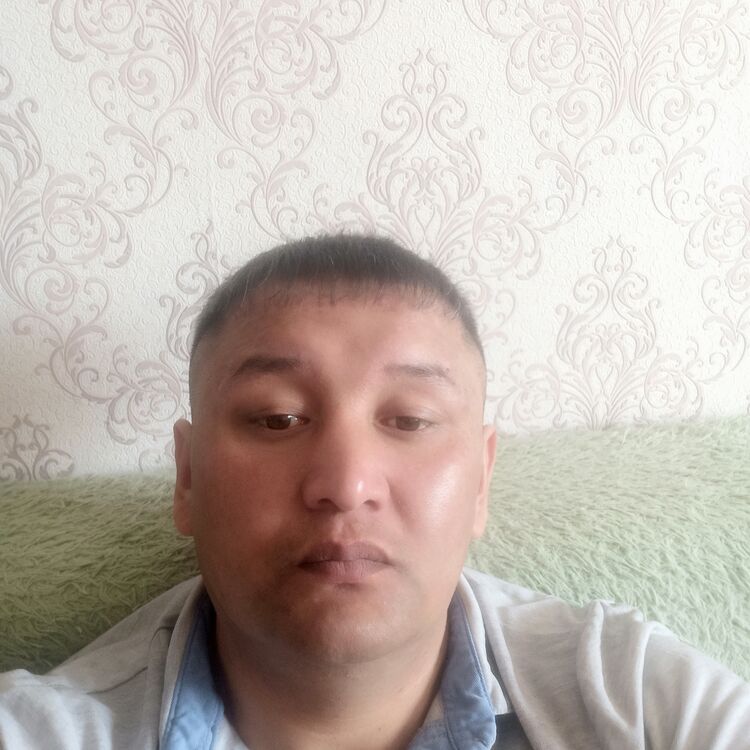 ���� 34111066 ������� �����, 41 ���, ���� ���������� � ���������