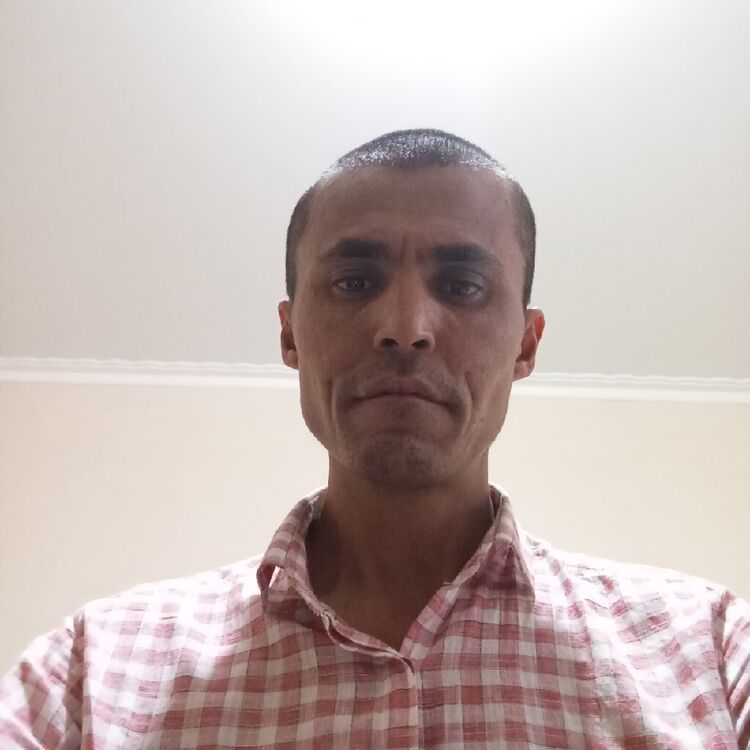  53278036  , 40 ,    