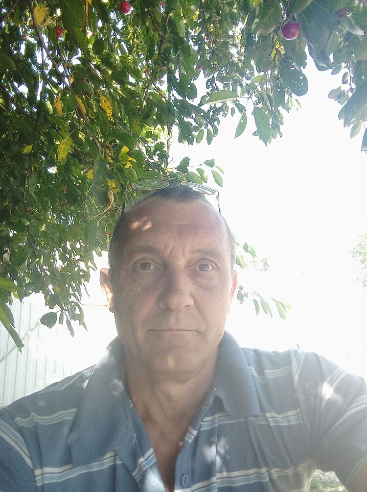  35472526  , 53 ,    