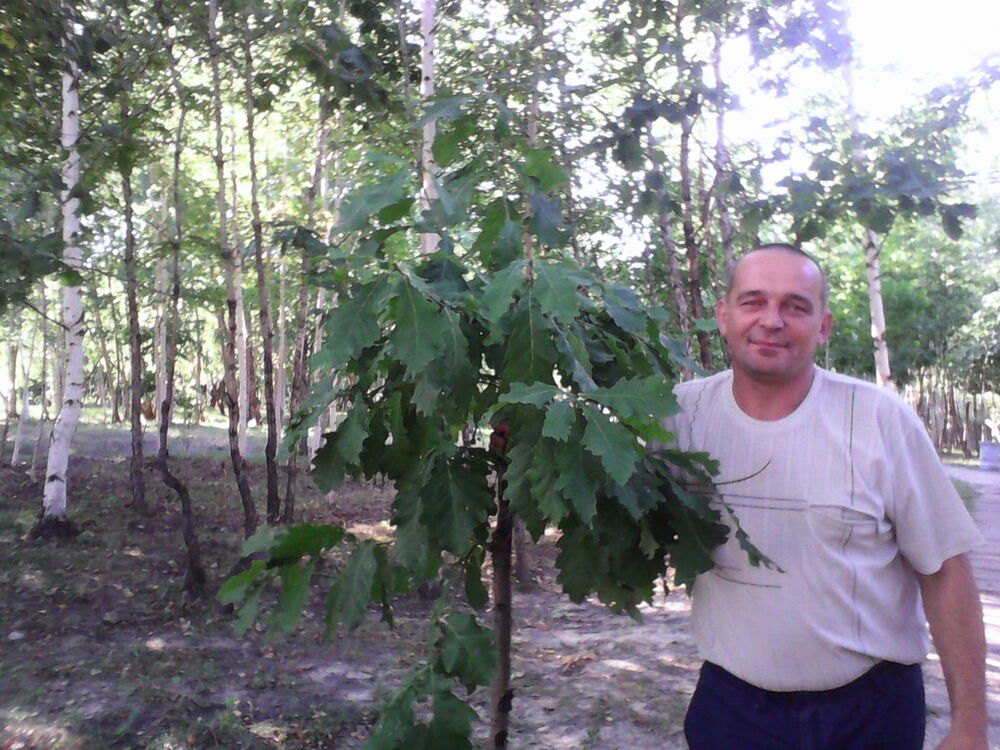  ,   Serg, 52 ,   ,   , c , 