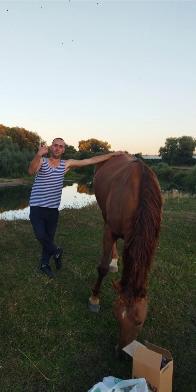 ���� 29829276 ������� ˸��, 36 ���, ���� ���������� � ���������