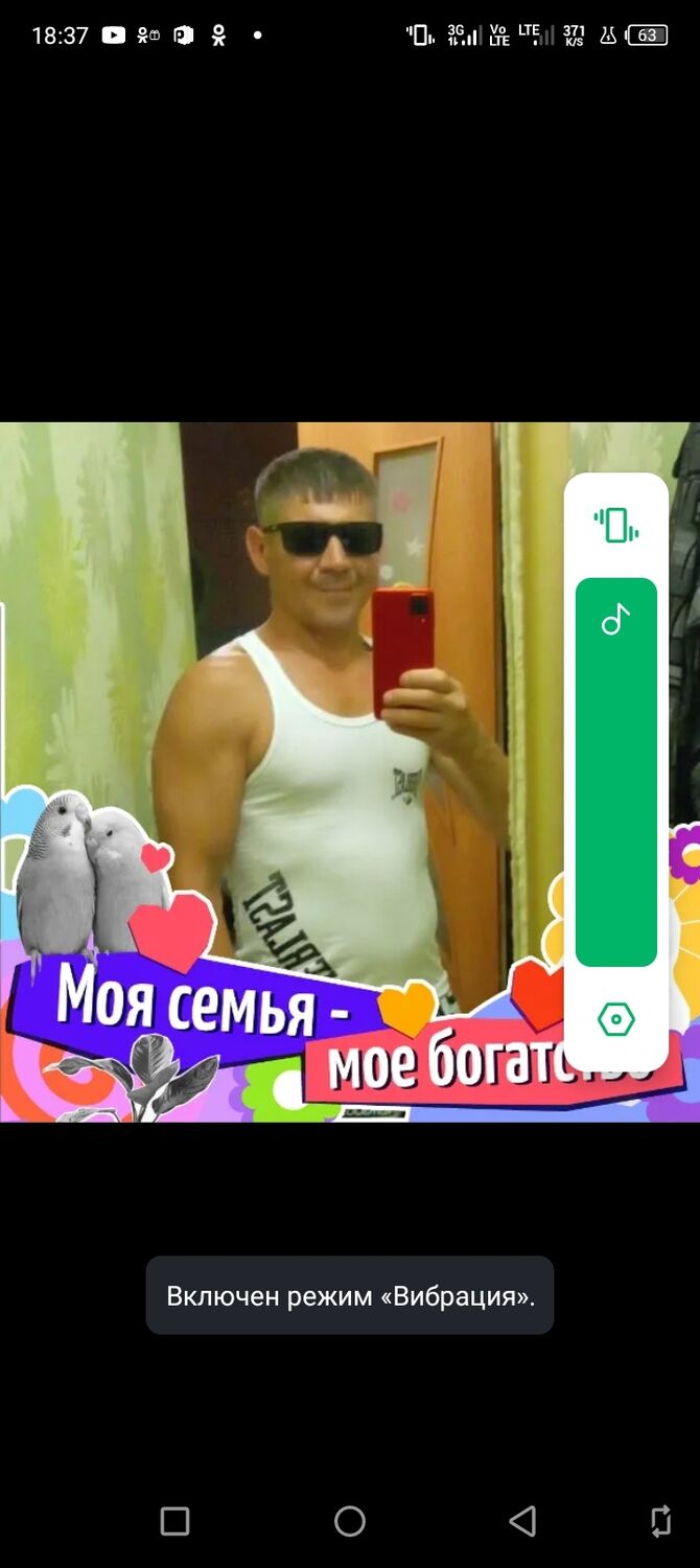  48221866  , 44 ,    