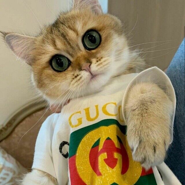 ���� 20782276 ������� �����, 27 ���, ���� ���������� � ��������