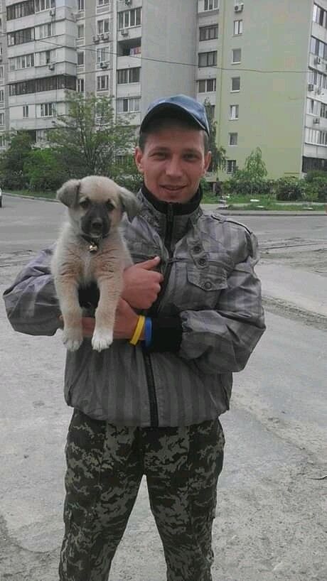 ���������� ����, ���� ������� �������, 37 ���, ������������ ��� ������, ����� � ���������, c�������� ���������