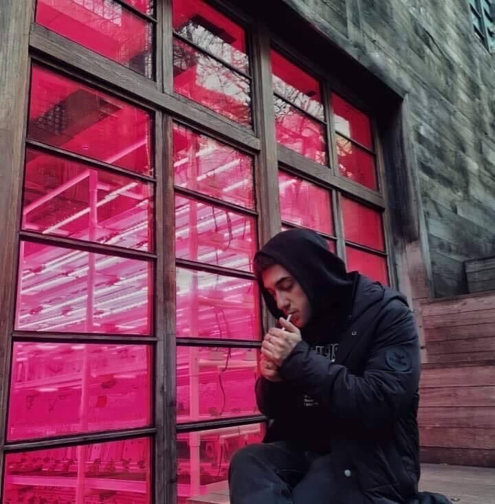  38533106  Pexma, 25 ,    