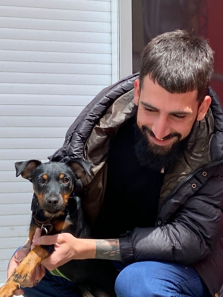 ���������� ������, ���� ������� ������, 29 ���, ������������ ��� ������, ����� � ���������