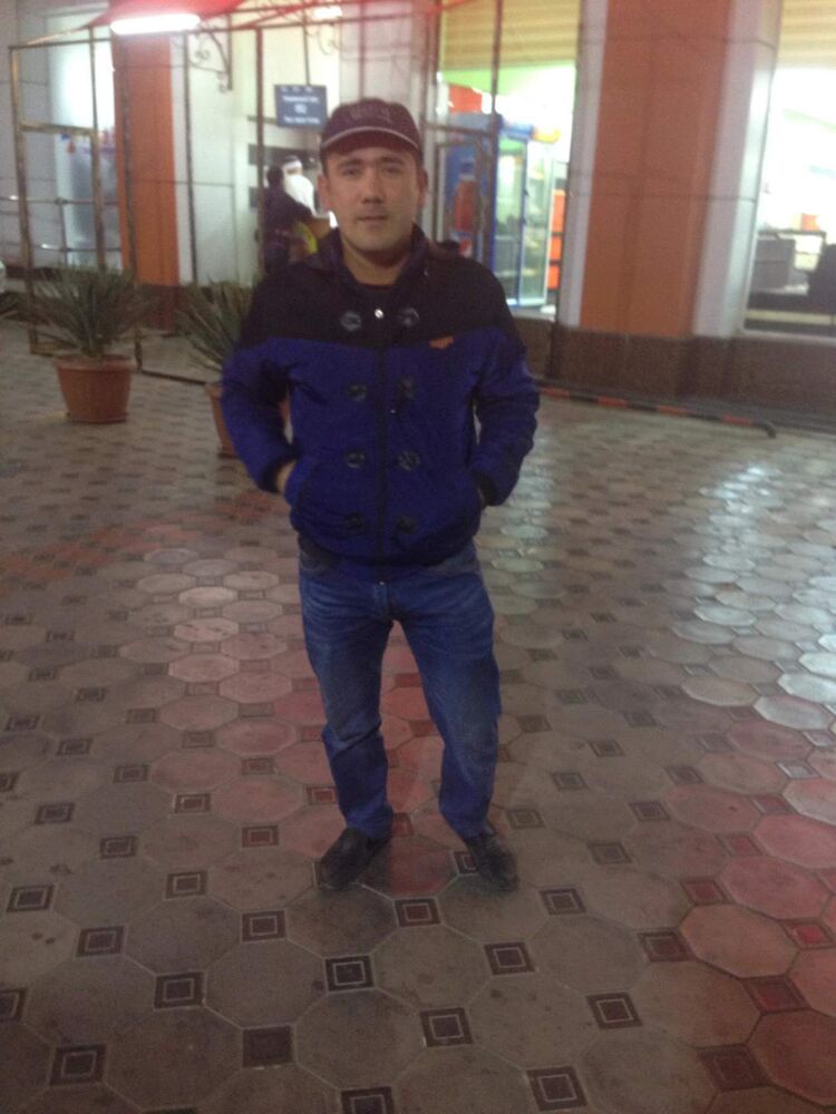  40678806  , 34 ,    