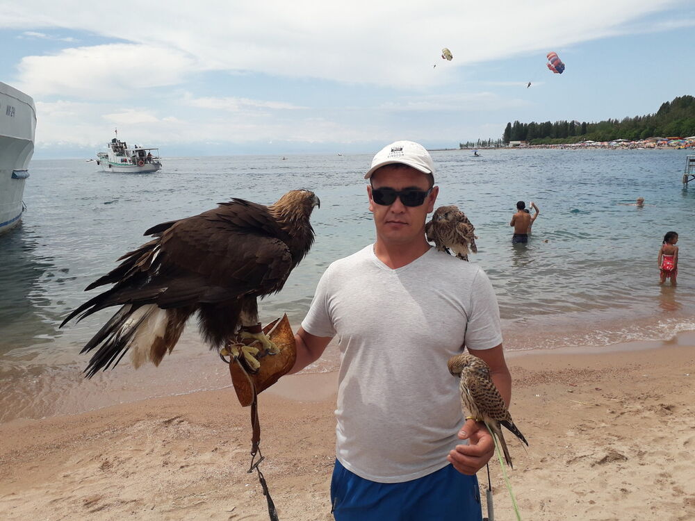 ���������� ������, ���� ������� ��������, 42 ����, ������������ ��� ������, ����� � ���������, c�������� ���������