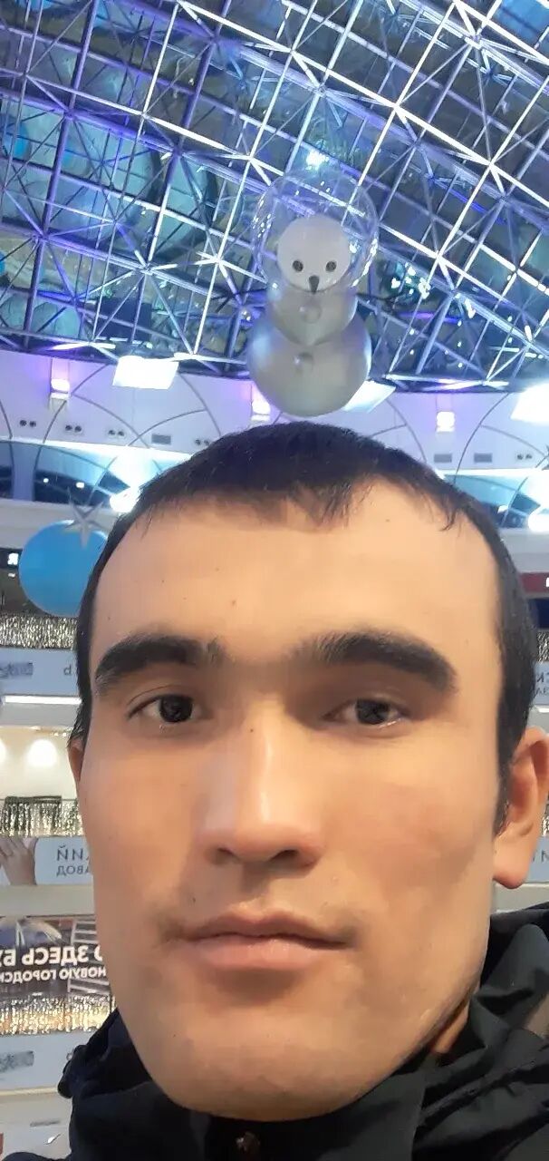 ���� 23824676 ������� �������, 31 ���, ���� ���������� � ������