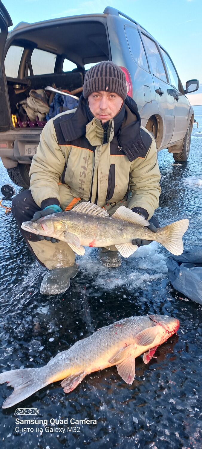 ���������� ���������, ���� ������� ���������, 36 ���, ������������ ��� c�������� ���������