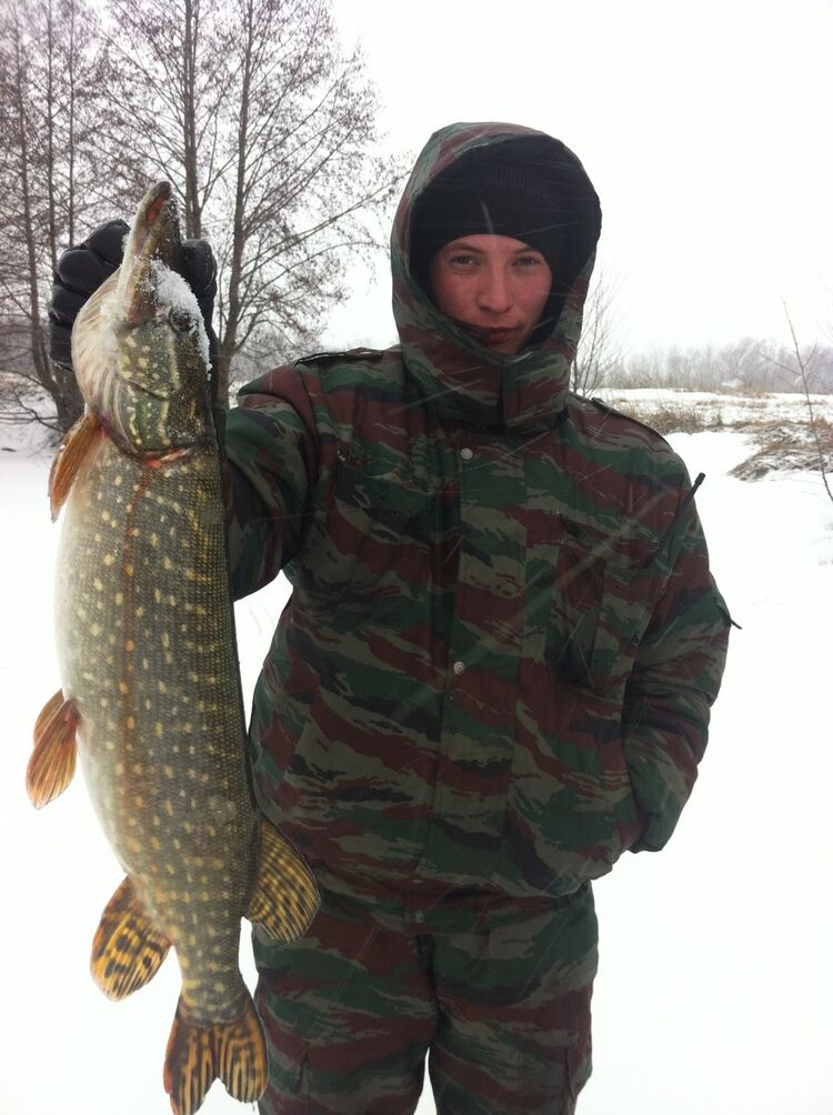 ���������� �����, ���� ������� �����, 33 ����, ������������ ��� ������, ����� � ���������, c�������� ���������