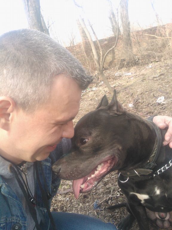 ���������� ������-��-����, ���� ������� Born wild, 45 ���, ������������ ��� ������, ����� � ���������, c�������� ���������, ���������