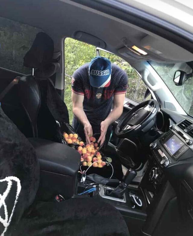 ���� 35094836 ������� Davud M, 27 ���, ���� ���������� � ���������