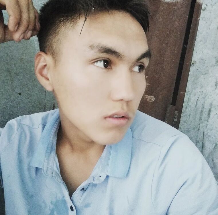  30511586  , 26 ,    