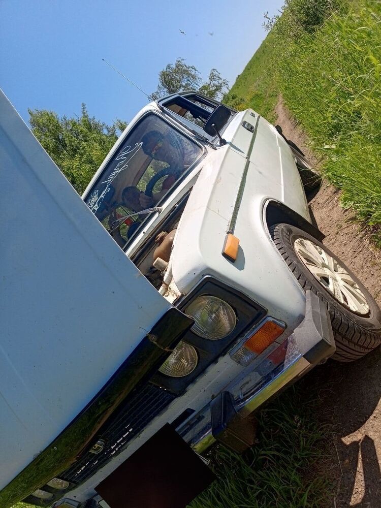 ���� 52720556 ����� ������, 19 ���, ���� ���������� � �������