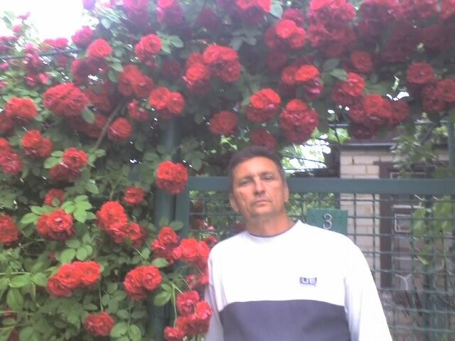   ,   , 61 ,     , c 