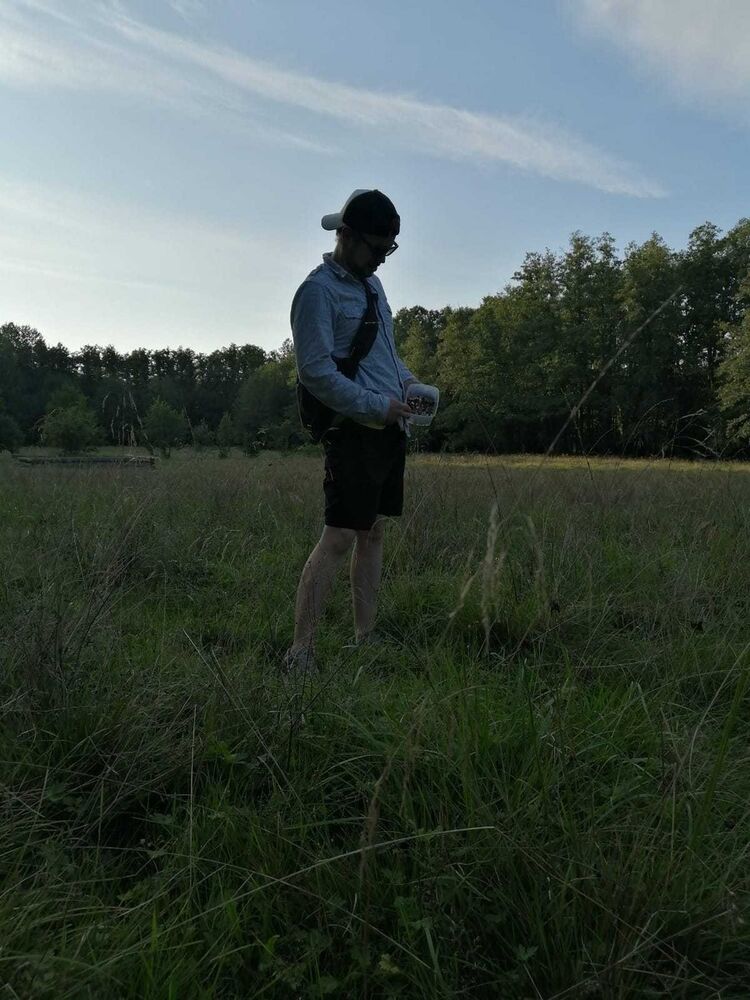  Kista,   Raman, 37 ,     , c 