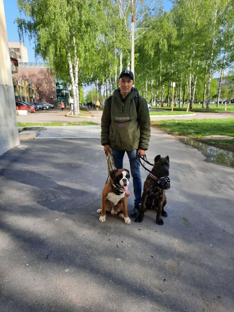 ���� 21511276 ������� �������, 44 ����, ���� ���������� � ����������