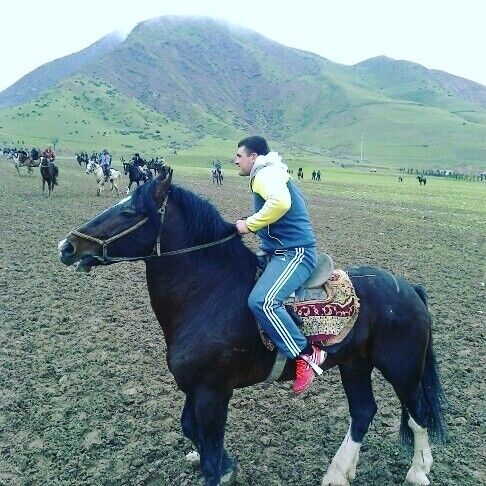 ���������� ������, ���� ������� ���������, 38 ���, ������������ ��� ������, ����� � ���������