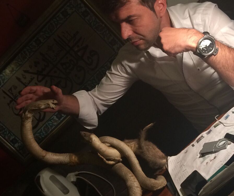  ,   Mehmet, 31 ,   ,   , c 