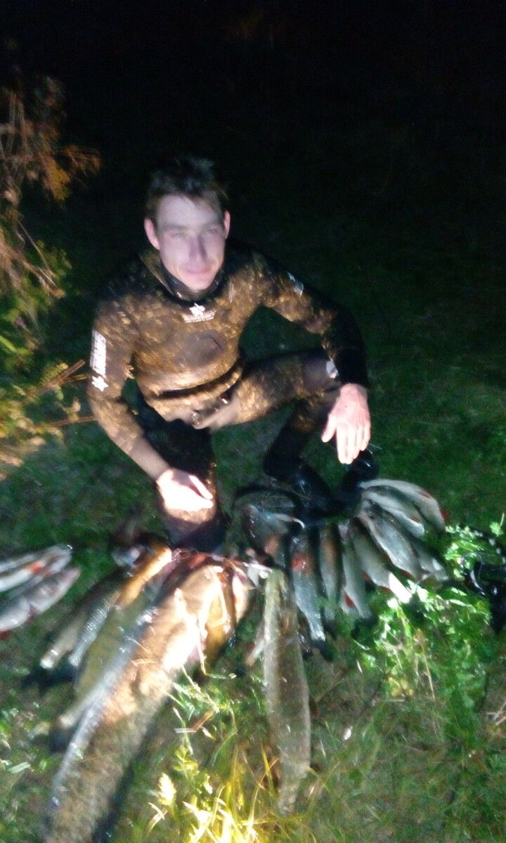 ���� 8339286 ������� ���������, 39 ���, ���� ���������� � ������