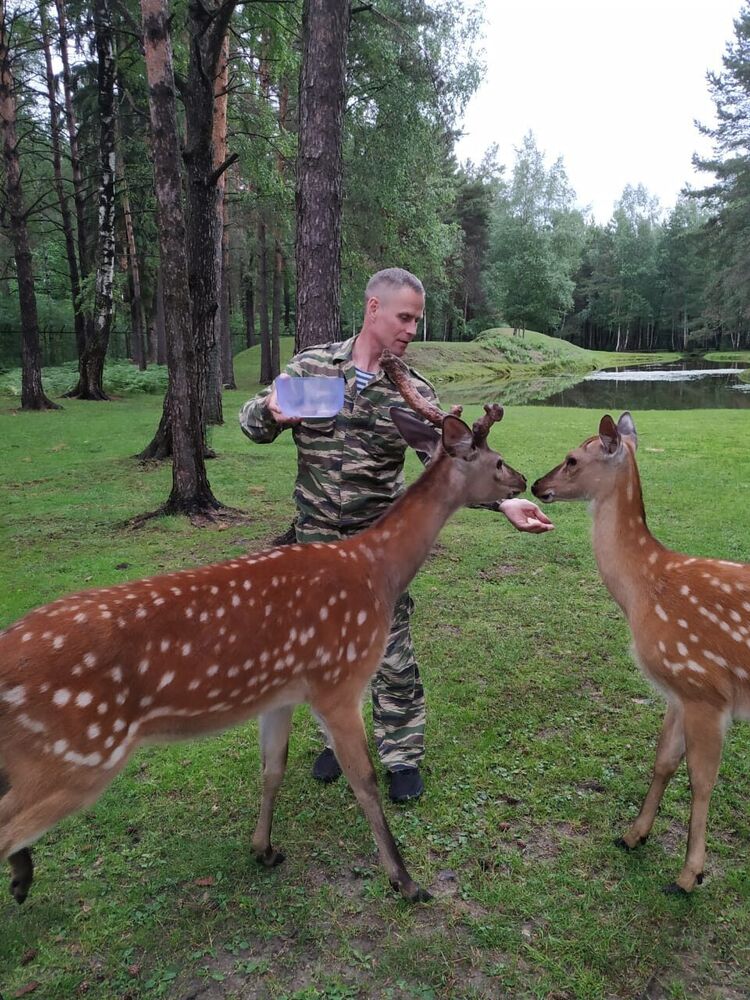 ���������� ������, ���� ������� �������, 53 ����, ������������ ��� ������, ����� � ���������