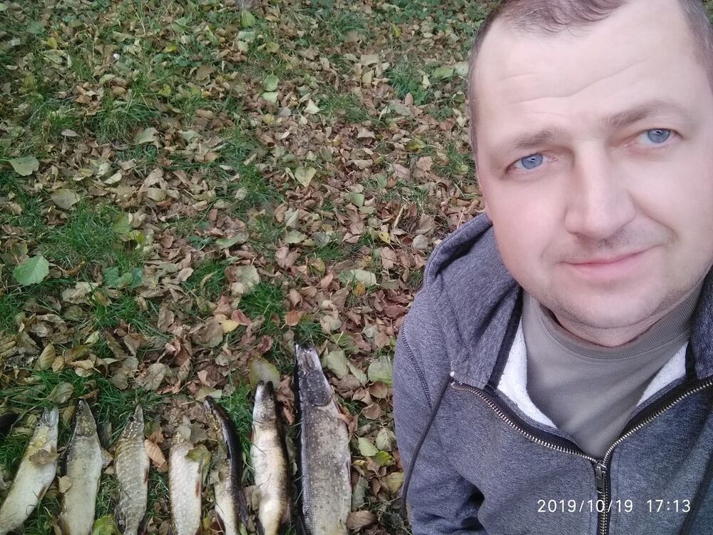  ,   Stells, 46 ,   ,   , c 