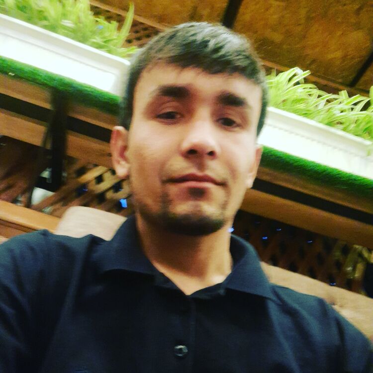  28853326  , 31 ,    