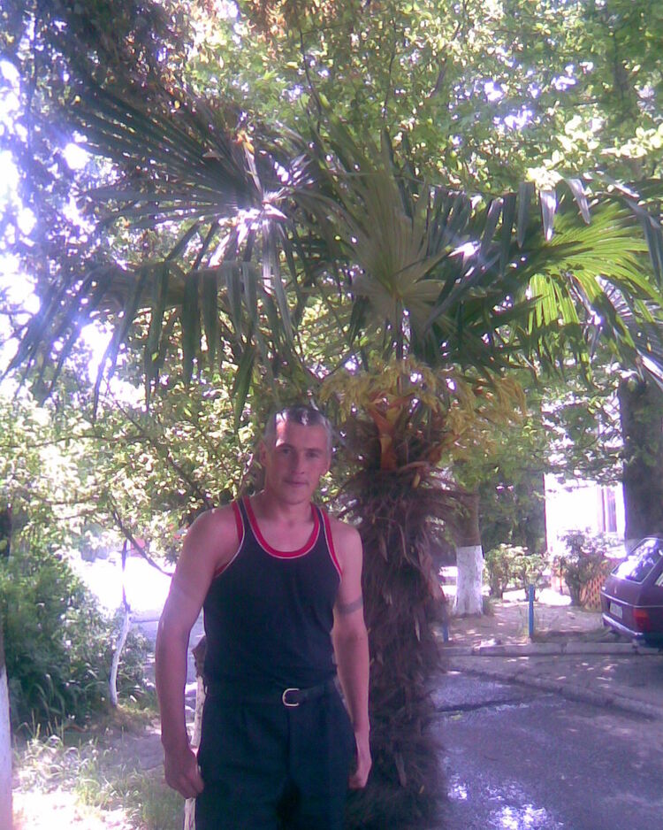 ���� 4472656 ������� ������, 43 ����, ���� ���������� � �������