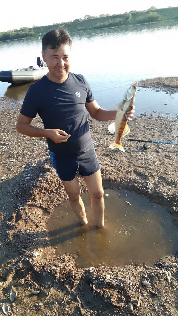  53083026  , 42 ,    