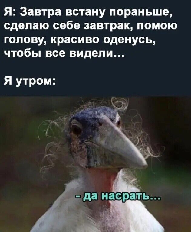 ���� 52248996 ������� �������, 28 ���, ���� ���������� � ��������