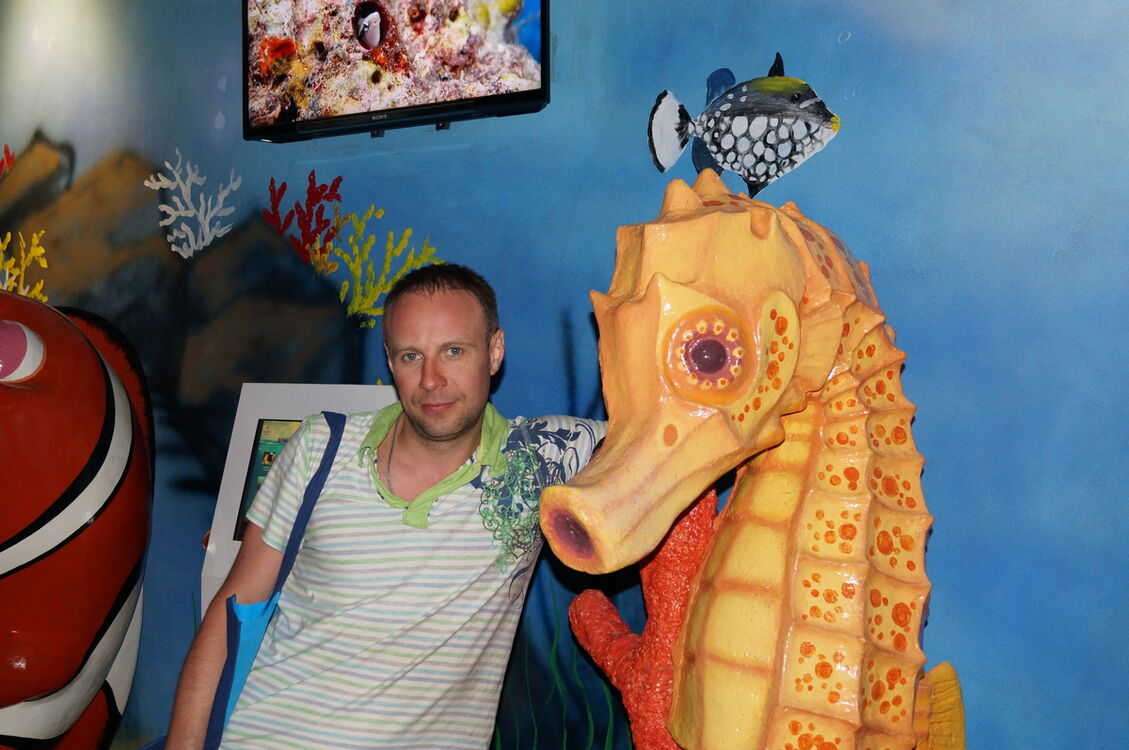 ���������� �����, ���� ������� ����, 43 ����, ������������ ��� ������