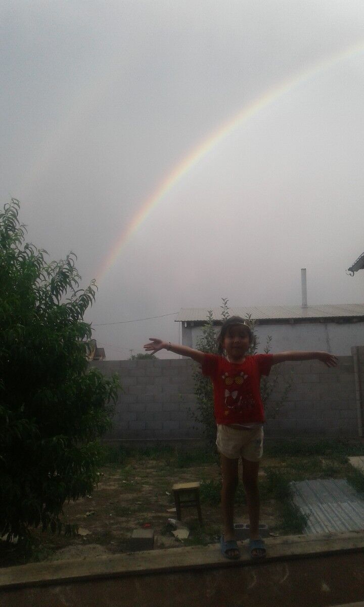  12957146  , 42 ,    