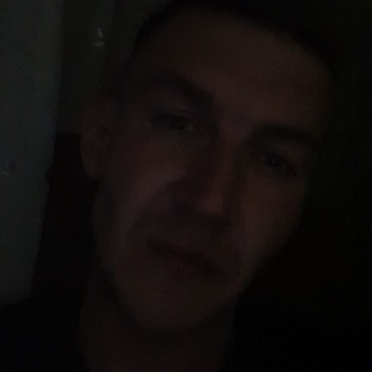  26498686  Sus, 31 ,    