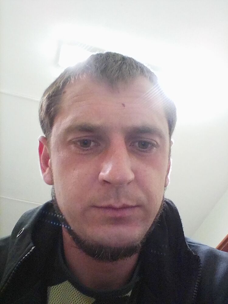  36803636  , 28 ,    
