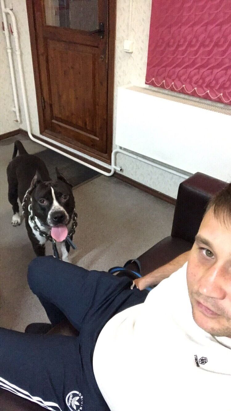 ���������� ���������, ���� ������� ���, 37 ���, ������������ ��� ������, ����� � ���������, c�������� ���������