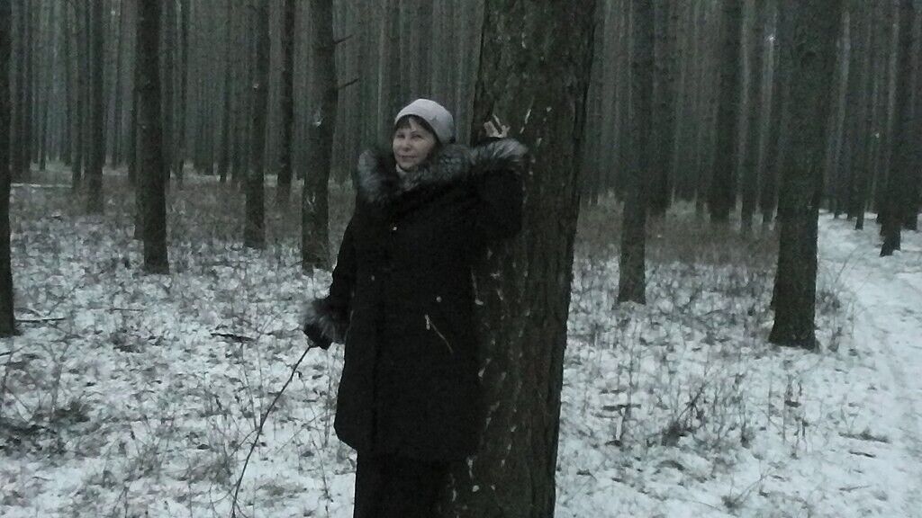 ���� 40393006 ������� ��������� �, 68 ���, ���� ���������� � �������