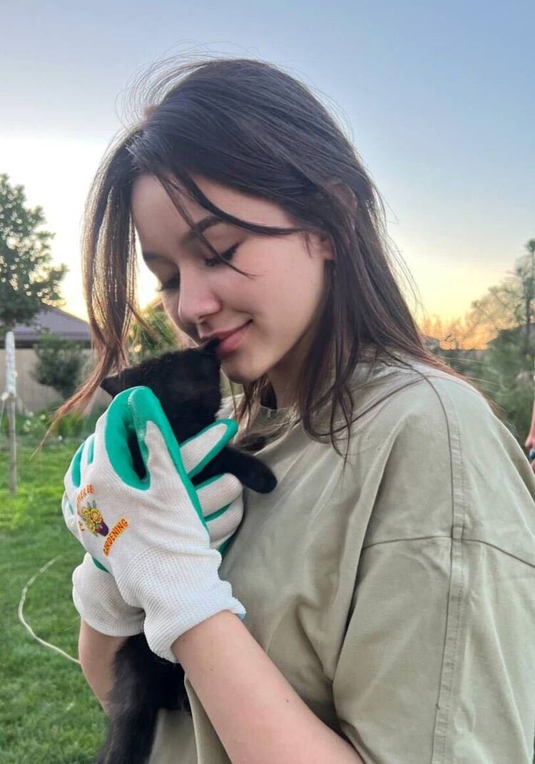 ���������� ������, ���� ������� Trap, 23 ����, ������������ ��� ������, ����� � ���������, ���������