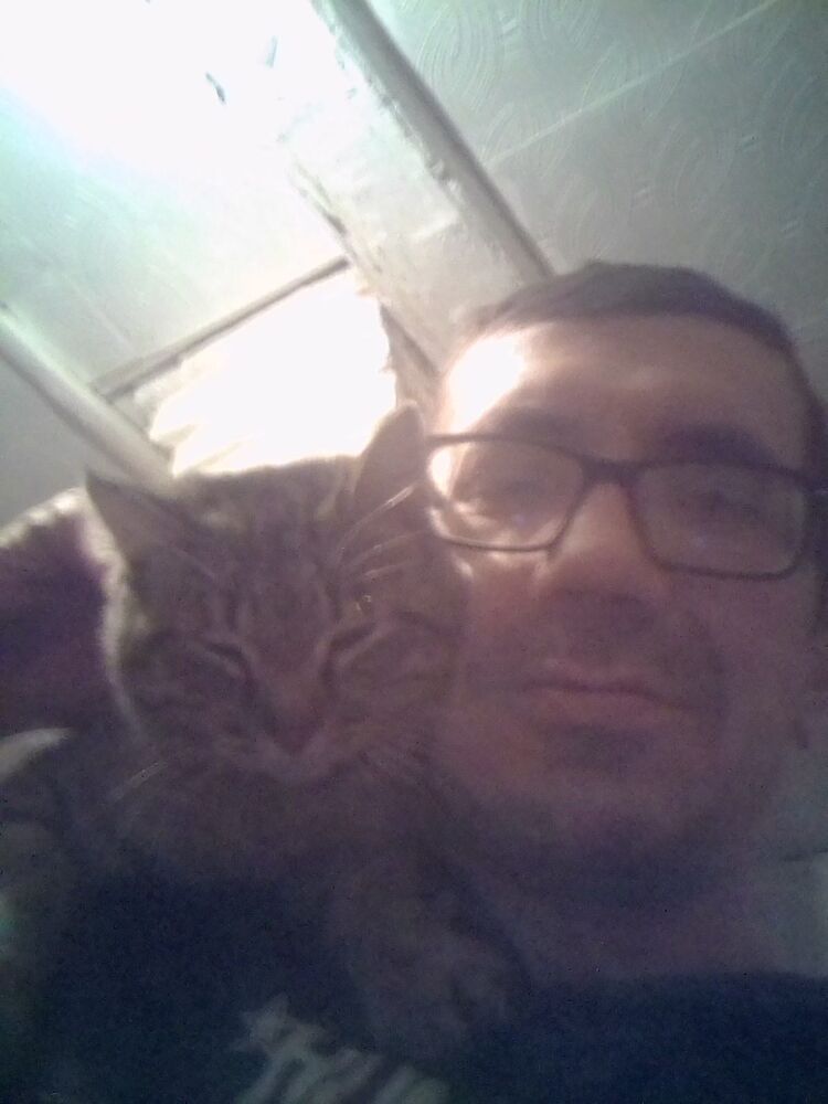 ���� 24931026 ������� ����, 44 ����, ���� ���������� � ���������