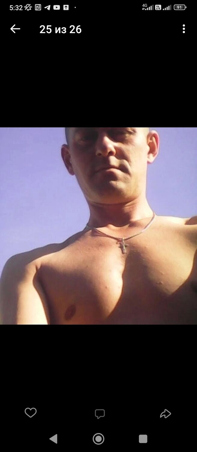  31550086  , 36 ,    