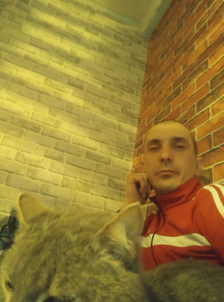  34414506  , 33 ,    