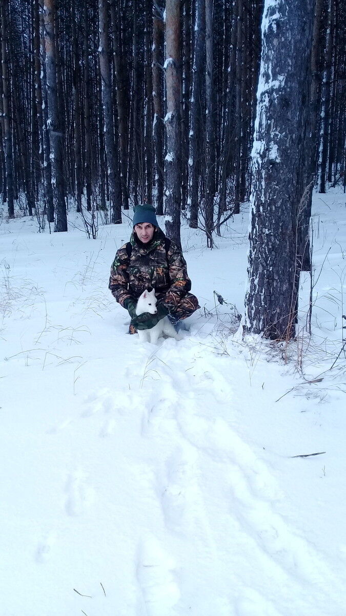 ���������� ���������� �����, ���� ������� �����, 46 ���, ������������ ��� ������, ����� � ���������, c�������� ���������, ���������