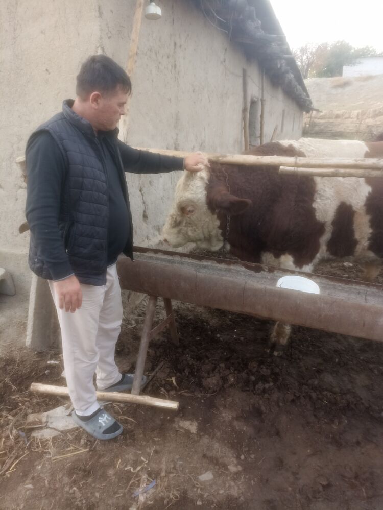 ���� 43860986 ����� Lazizjon, 19 ���, ���� ���������� � ��������