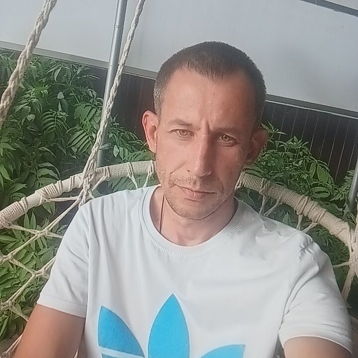  45716176  , 40 ,    